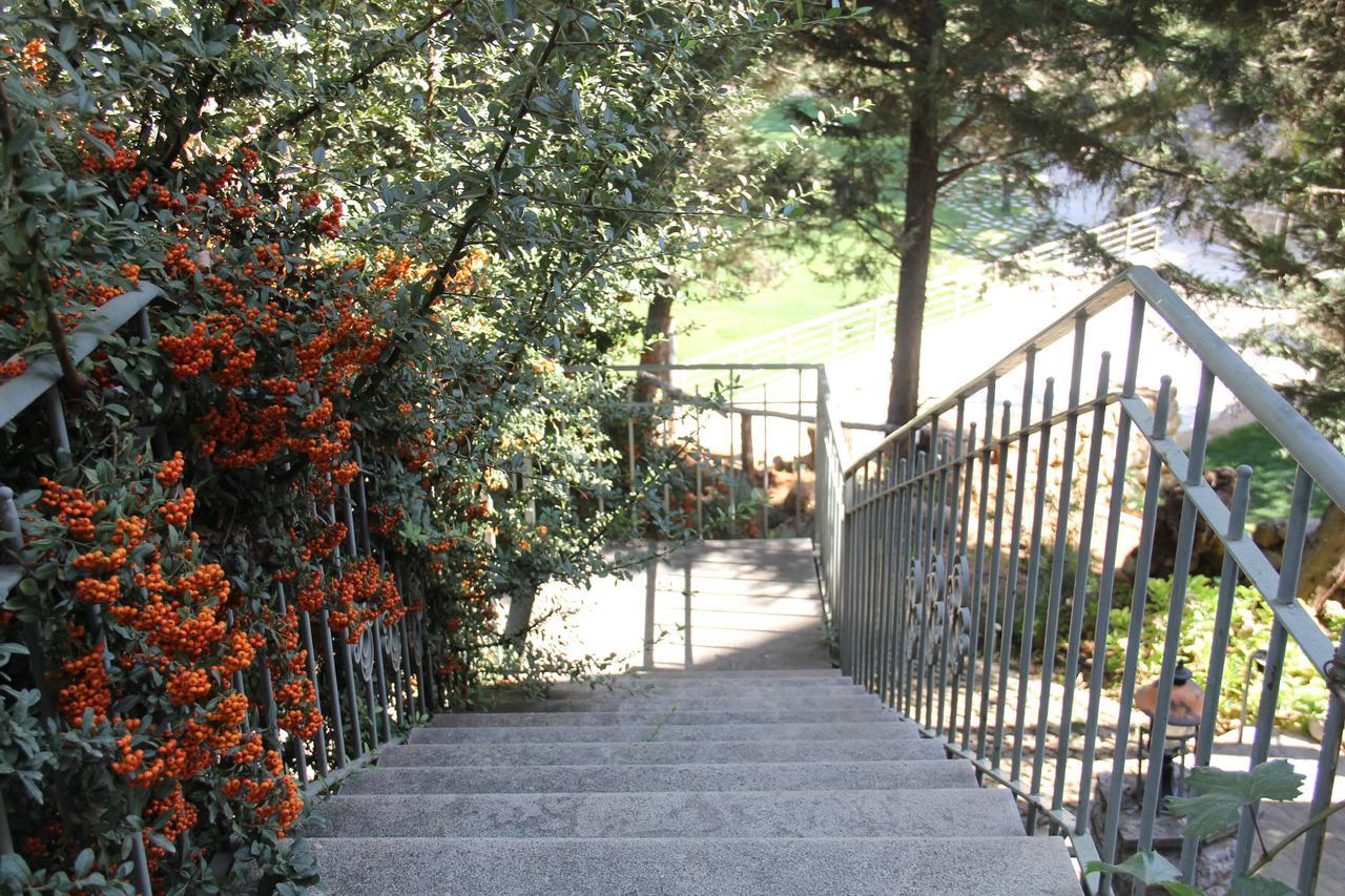 Domaine De Chouchene Hotel Sahrat al Qashsh Exterior foto